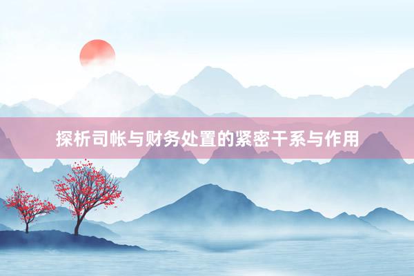探析司帐与财务处置的紧密干系与作用