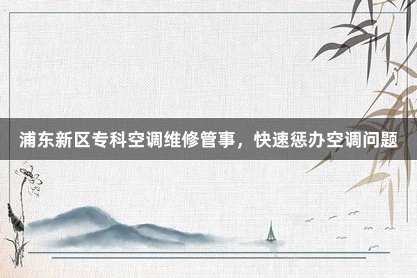 浦东新区专科空调维修管事，快速惩办空调问题