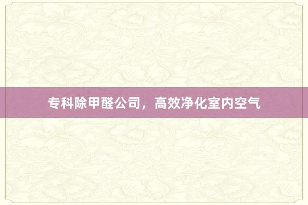 专科除甲醛公司，高效净化室内空气