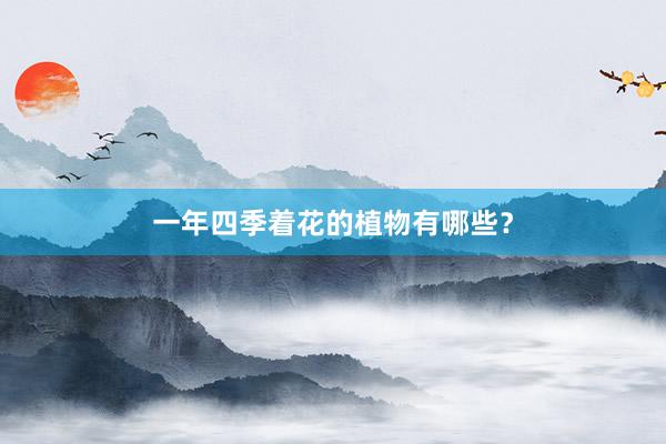 一年四季着花的植物有哪些？