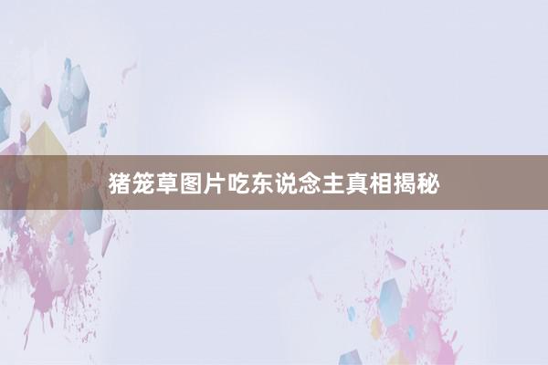 猪笼草图片吃东说念主真相揭秘